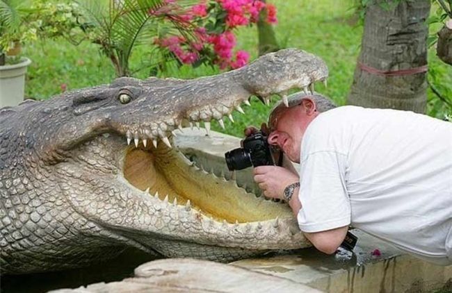 Karena Cuma Tuhan yang Bisa Memastikan Sosok dalam 15 Foto Ini Masih Bisa Kita Temui Hidup-Hidup