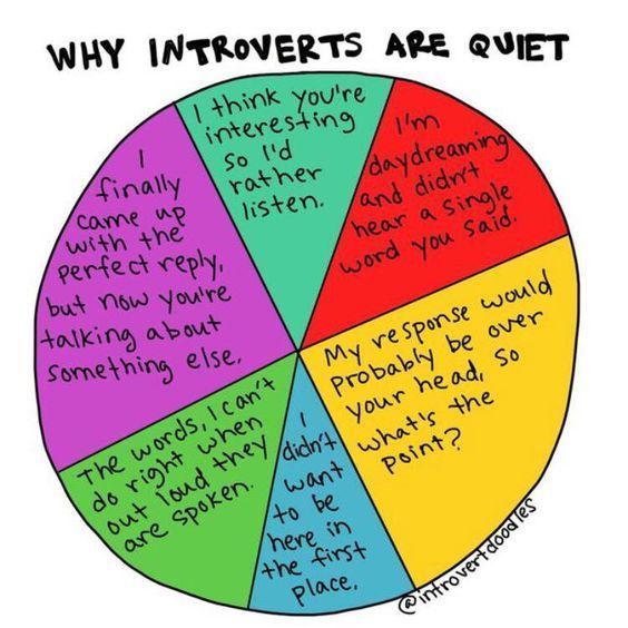 Aku Ingin Mengajakmu untuk Memahami Kaumku, Kaum Introvert