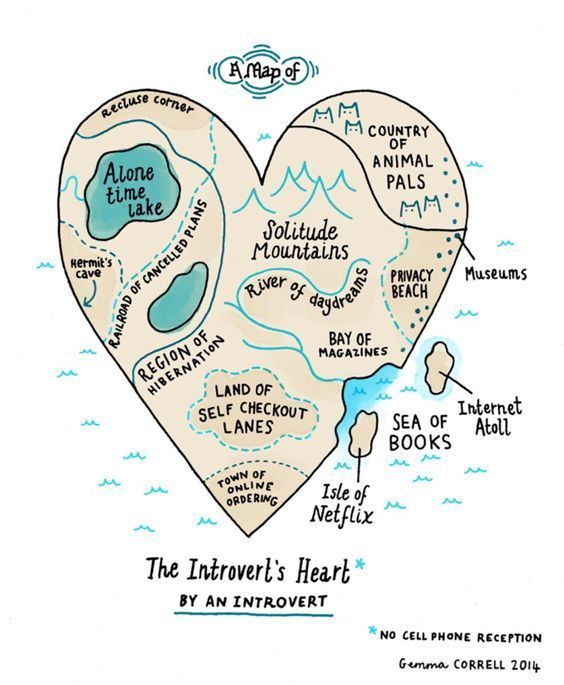 Aku Ingin Mengajakmu untuk Memahami Kaumku, Kaum Introvert