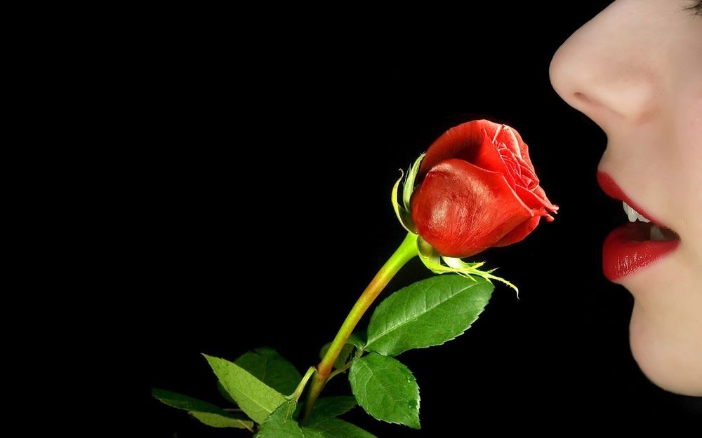 You Are the Most Beautiful Girl in My Life