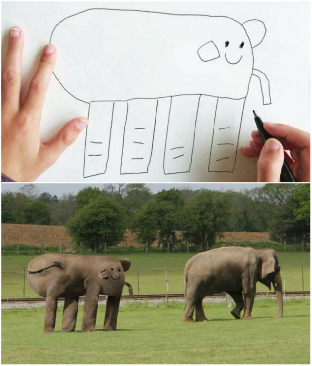 ini gajah apa?