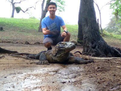Tak Kenal Maka Tak Sayang, Yuk Kenalan Dulu Sama Komodo :D