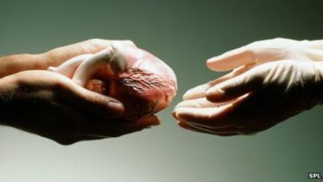 5 Fakta Tentang Mendonorkan Seluruh Organ Tubuh Setelah Mati, di Indonesia Masih Kurang Populer Sih