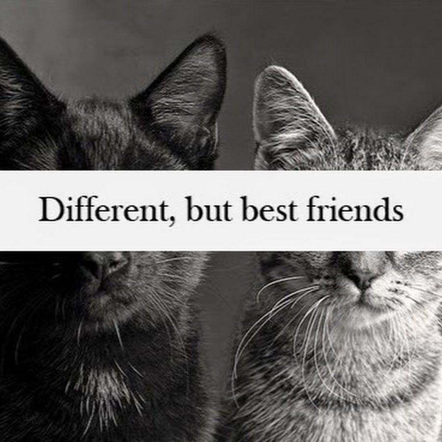 How to Maintenance Your Friendship