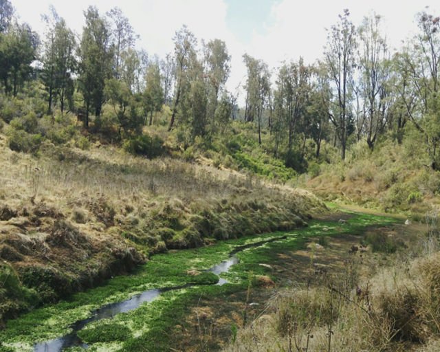 Sungai yang mengalir indah seolah menyambut kami yang kelelahan 