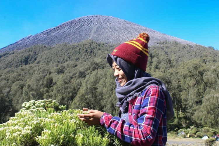 kupluk