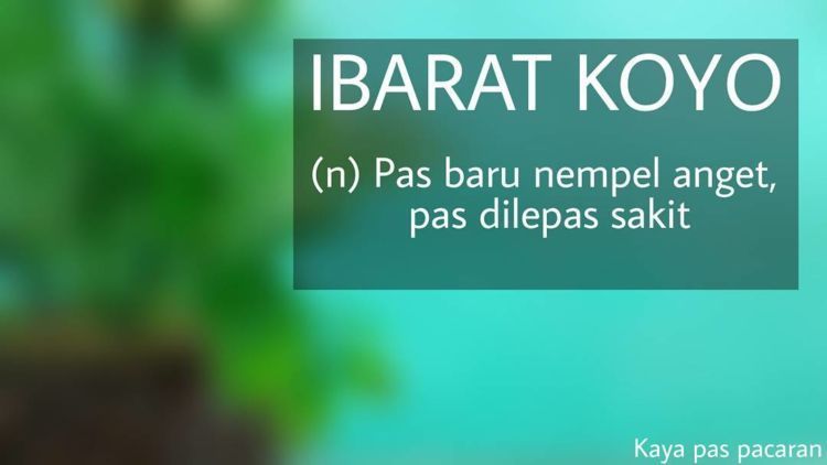 Makanya jangan sayang-sayang banget