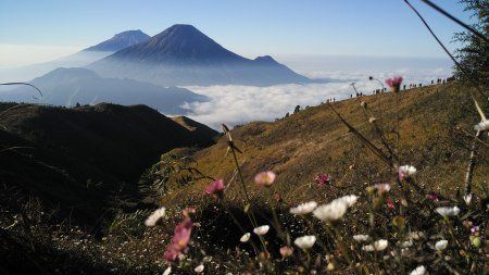Prau Selalu Hangat Seperti Tahun-tahun Sebelumnya