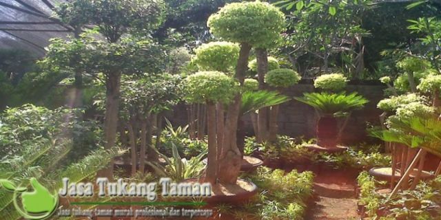 Fungsi dan manfaat taman