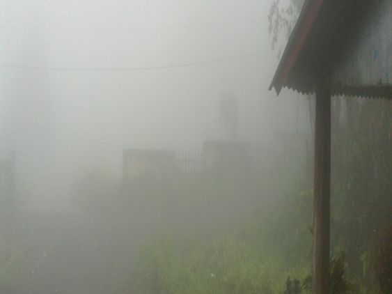 Kampung Kabut: Tongkat Kayu Jadi Tanaman