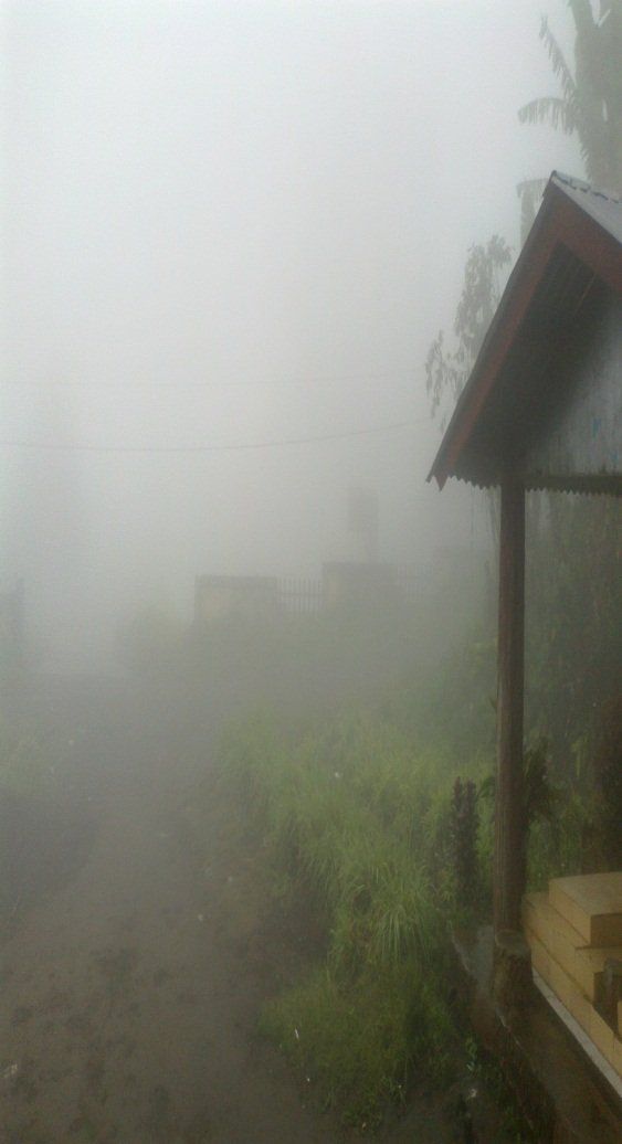 Kampung Kabut: Tongkat Kayu Jadi Tanaman
