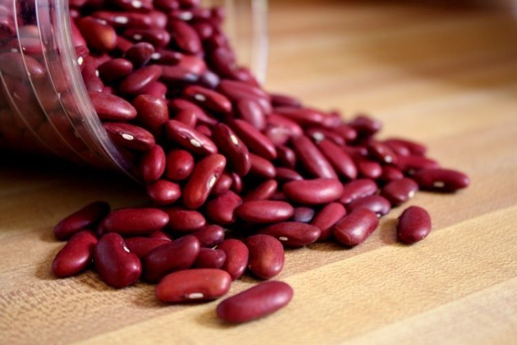 kacang merah