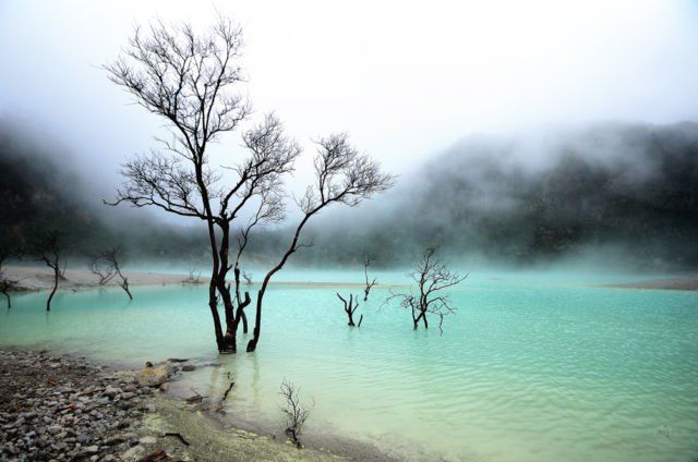 Kawah Putih