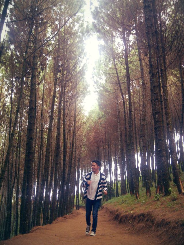 Pesona Bukit Moko bandung
