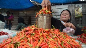 Sama Seperti Indonesia, 5 Negara Ini Juga Nelangsa Karena Harga Makanan. Krisis Pangan Makin Nyata