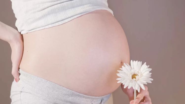 20 Istilah Seputar Kehamilan yang Perlu Diketahui, Biar Nggak Bingung Baca Hasil Konsultasi