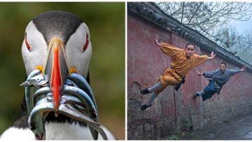 15 Foto Terbaik dari Sony Photography Awards yang Kerennya Kebangetan. Kamu Perlu Belajar Dari Karya Mereka!