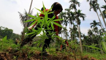 Cinta Sejati Fidelis Ari. Rela Masuk Penjara Karena Menanam Ganja Demi Menolong Istri Tercinta