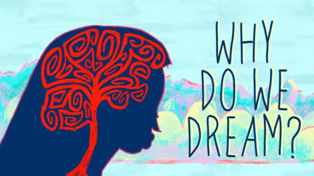 Why do we dream? - Amy Adkins