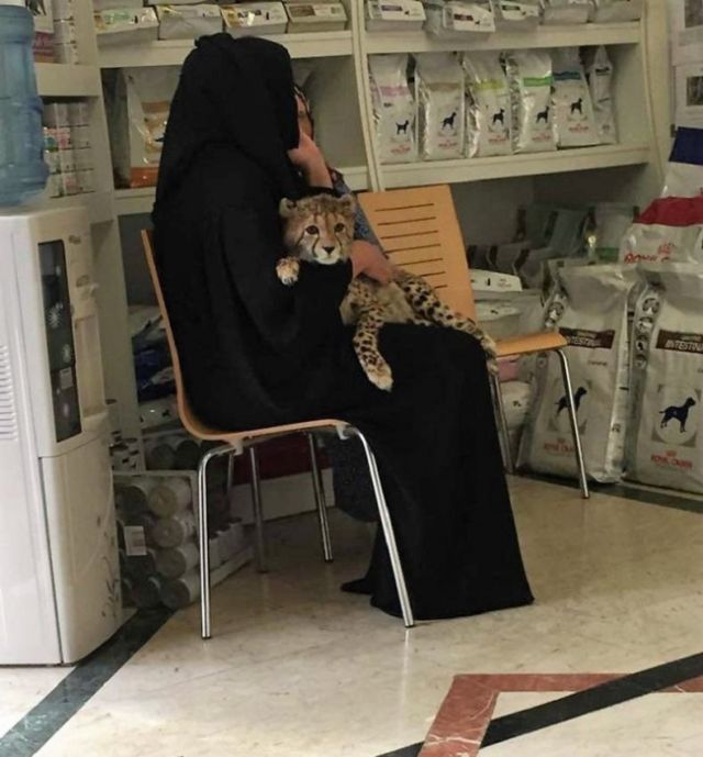 15 Hal Aneh dan Gila yang Hanya Bisa Ditemukan di Dubai. Mulai dari ATM Emas Sampai Pelihara Macan!