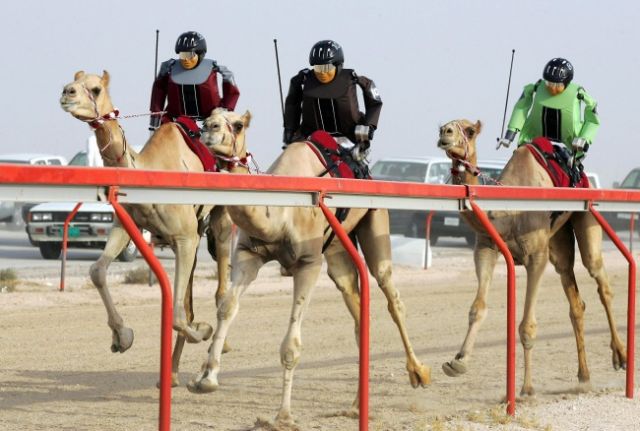 15 Hal Aneh dan Gila yang Hanya Bisa Ditemukan di Dubai. Mulai dari ATM Emas Sampai Pelihara Macan!