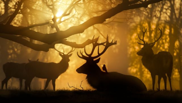 15 Foto Keren Ini Ternyata Nggak Pakai Photoshop Lho. Nggak Nyangka ya Bisa Sebagus Ini!