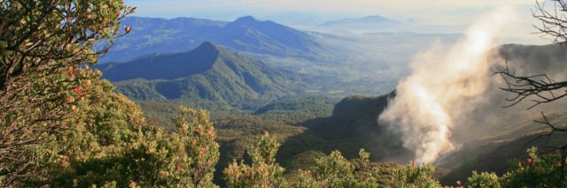 Donald Trump Mau Membangun Taman Bermain Mewah di Lereng Gunung Gede. Aktivis Lingkungan pun Protes!