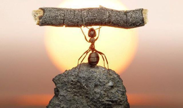 Nothing is impossible