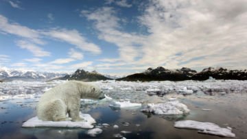 7 Cara Terakhir untuk Selamatkan Bumi dari Global Warming. Banyak yang Bilang Sudah Terlambat,