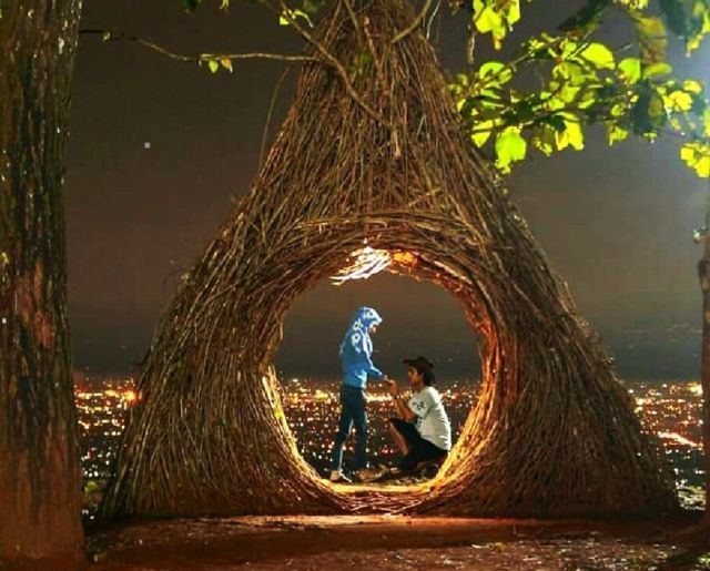 romantisnya hutan pinus pengger