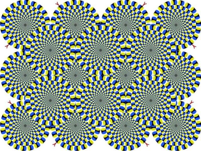 Fakta Di Balik 12 Trik Ilusi Optik Paling Terkenal di Dunia. Buat yang Sering Ketipu, Wajib Baca!