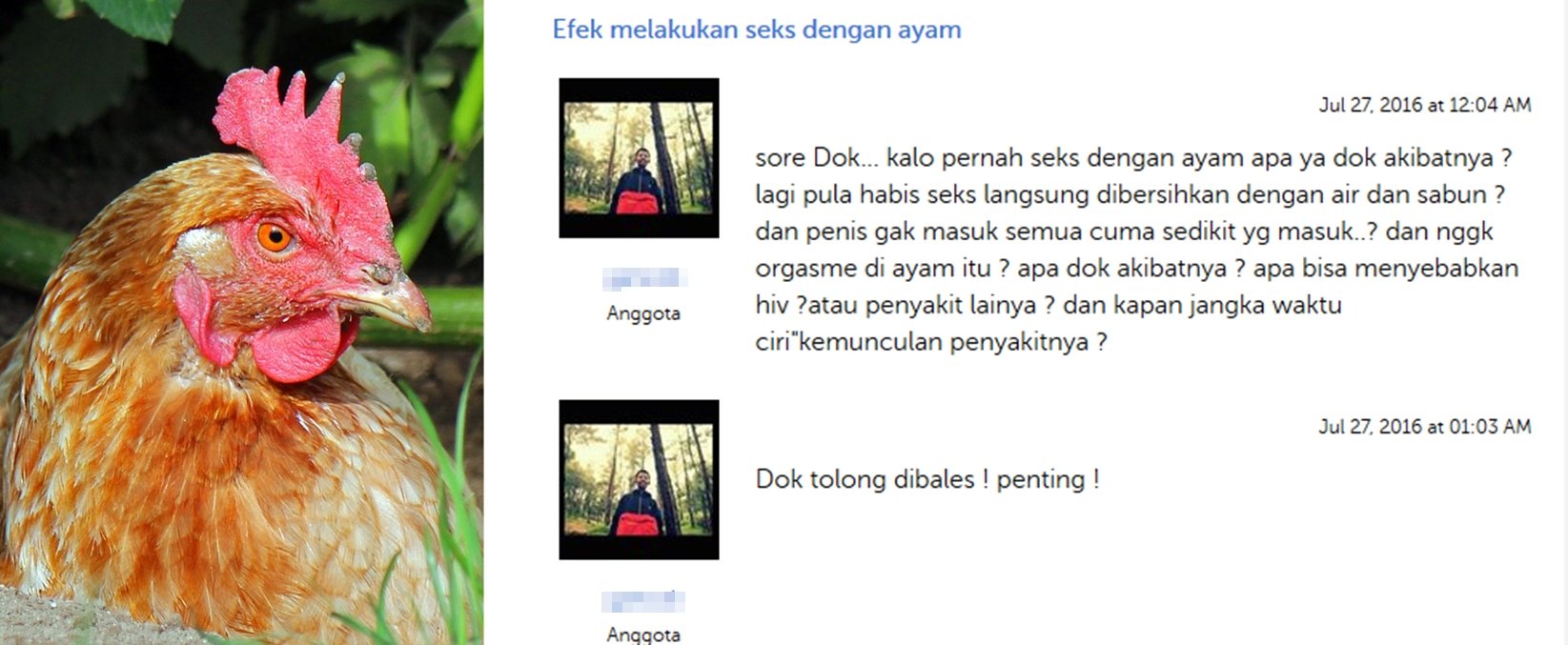 Habis Menyetubuhi Ayam, Cowok Ini Nanyain Efeknya Sama Dokter. Dia Panik, Kita Terheran-heran