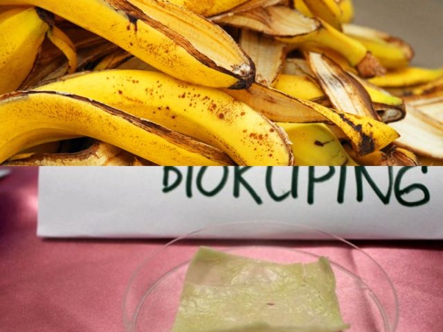 Wow! Demi Atasi Masalah Lingkungan, Mahasiswa Brawijaya Bikin Plastik Berbahan Kulit Pisang