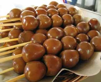 sate-puyuh
