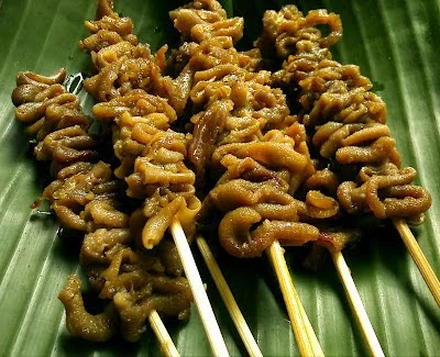 sate-usus