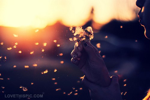 Make a wish