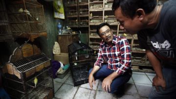 Mulai dari Ronda Hingga Pelihara Burung. Kamu yang Mudah Nggak Bakal Paham Hiburan Ala Bapak-bapak!
