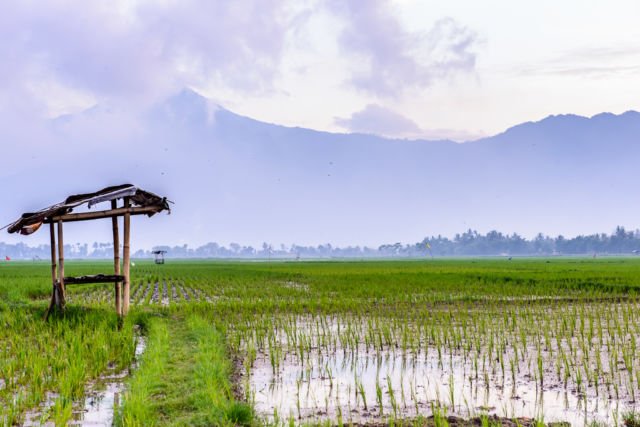 20 Kata Berbahasa Indonesia Ini Bisa Membuktikan Seberapa Jauh Kamu Kenal Bahasa Sendiri