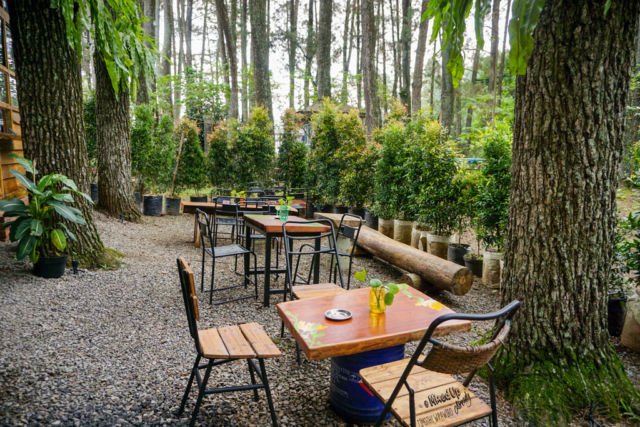 5 Tempat Ngusik di Bandung yang Recomended Buat Kamu 3 Waroeng Pinus