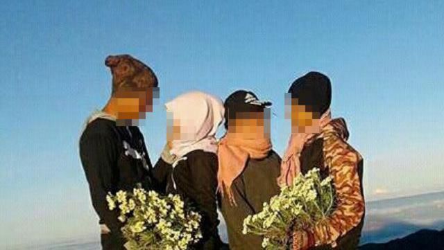 Pelaku Pemetik Edelweiss di Rinjani Akan Jadi Duta Pelestarian Edelweiss! Miris tapi Kocak Sih...