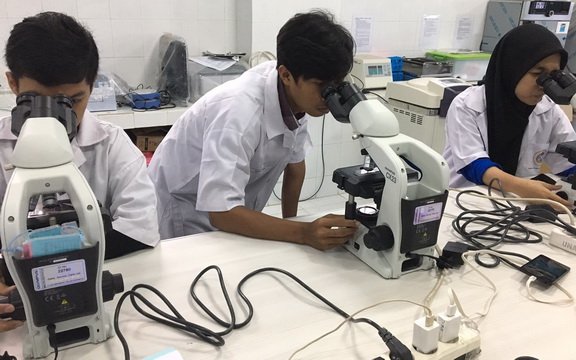 Serum Katak Muda Berekor Dapat Menghambat Aktivitas Proliferasi Sel Kanker