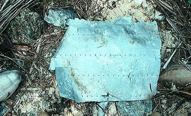 Katanya Bisa Ungkap Salah Satu Misteri Terbesar dalam Sejarah, Foto Ini Jadi Perdebatan Dunia