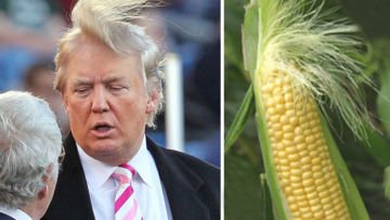 Misteri di Balik Rambut Donald Trump Terungkap! Saking Seringnya Diomongin, Para Ahli Angkat Bicara