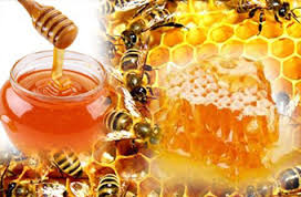 madu mengandung vitamin C