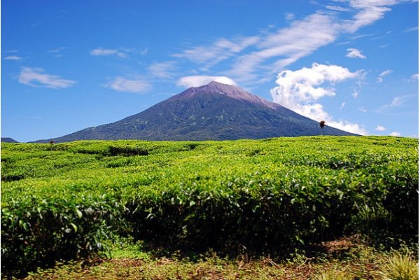 Menguak Misteri 9 Gunung Paling Angker di Indonesia. Berani Kamu Mendaki ke Sana?