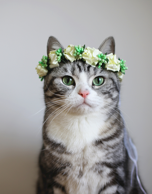 fabulous