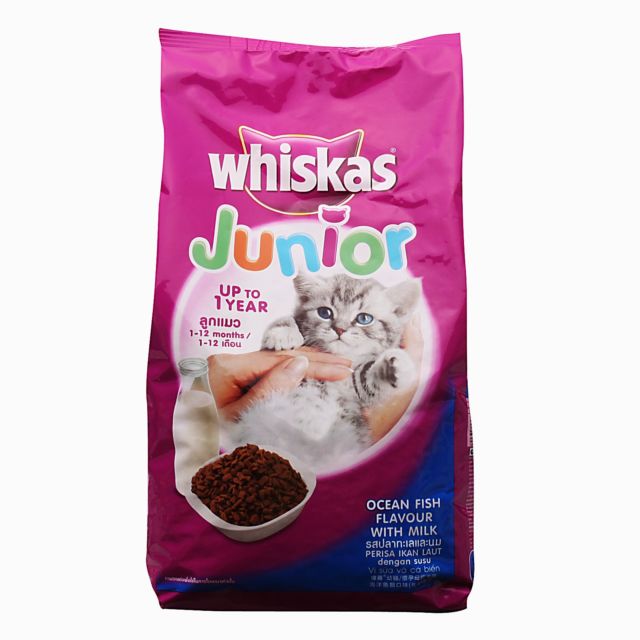 Makanan untuk anak kucing