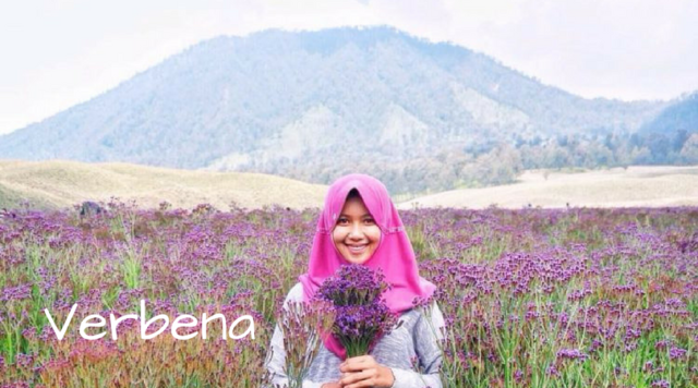 15 Nama Indah Bertema Alam dan Petualangan Ini Cocok Buat Dedek Bayimu Nanti!
