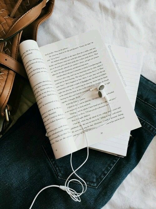 Membaca Novel