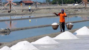 Punya Laut Paling Luas Sedunia, Ini 4 Alasan Kenapa Indonesia Sampai Harus Alami Kelangkaan Garam